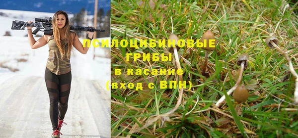 ешки Верея