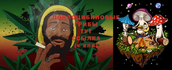 тгк Ступино